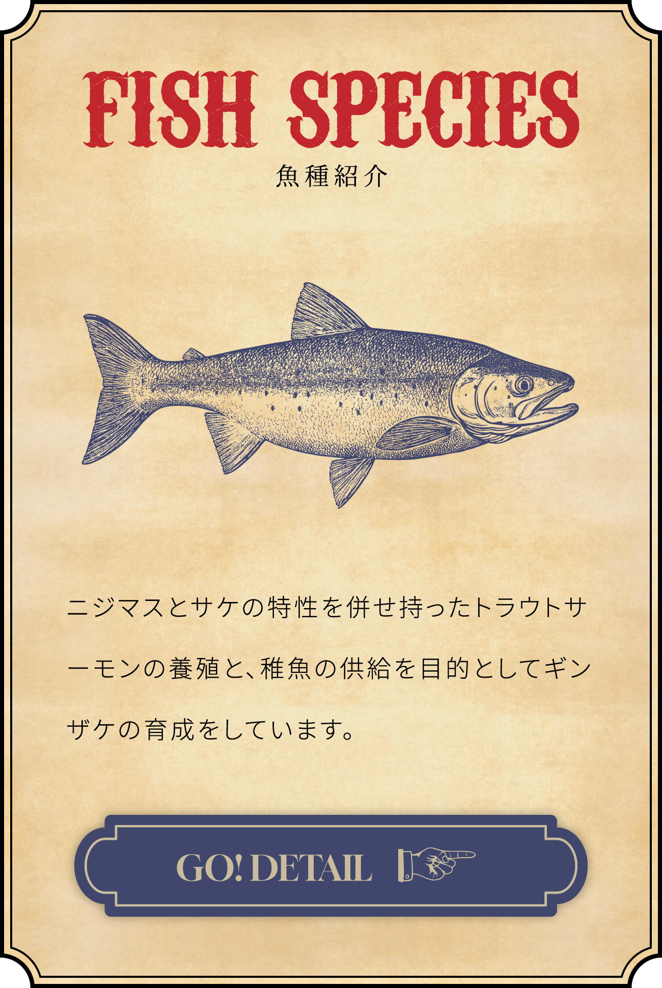 FISH SPECIES - 魚種紹介（SP）