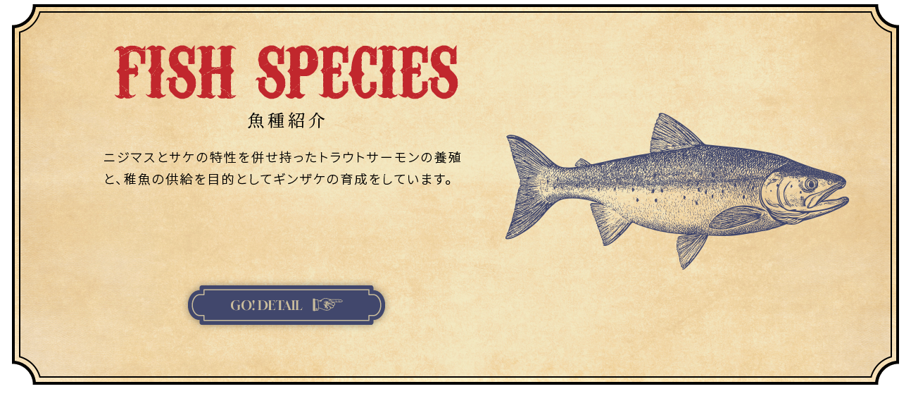 FISH SPECIES - 魚種紹介