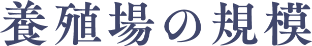 養殖場の規模