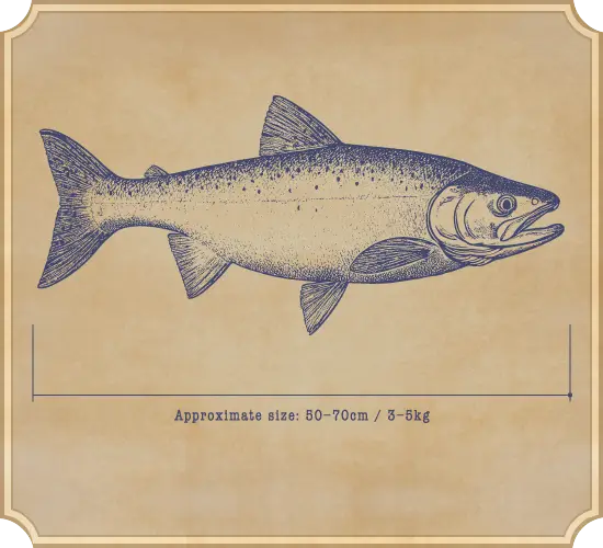 Approximate size: 50–70cm / 3–5kg